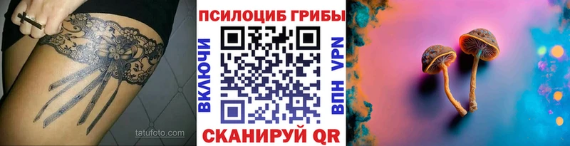 Псилоцибиновые грибы Psilocybine cubensis  Буинск 